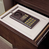 Electronic Safes