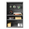 Abrasive Storage Cabinet,  Pegboard, 2 Shelves, Wall Mountable